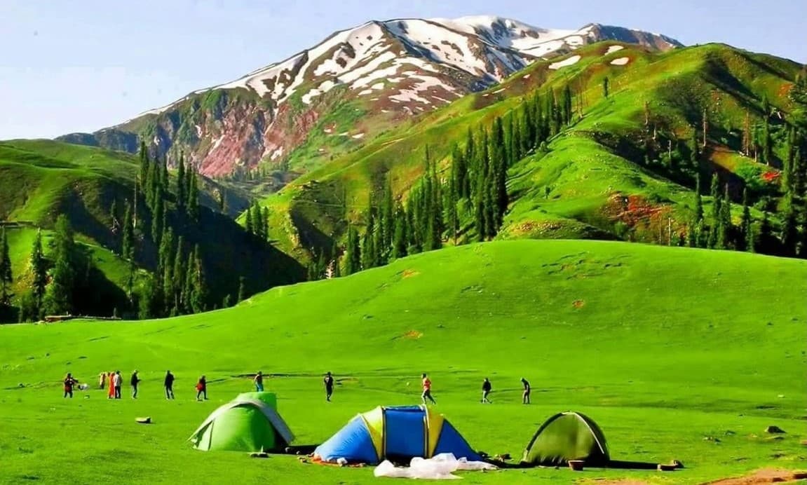 Malam Jabba One Day Trip